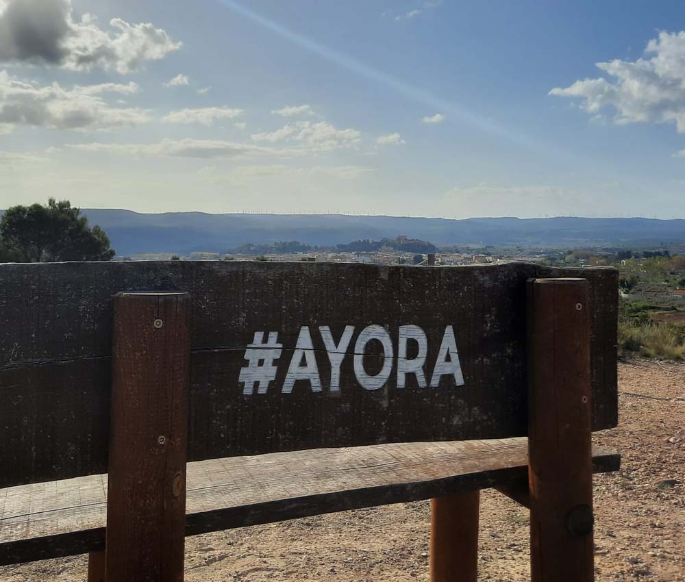AYO_13